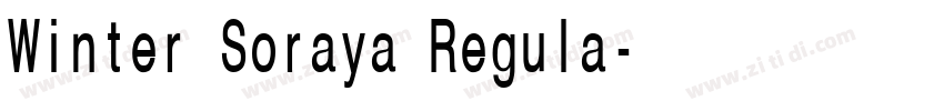 Winter Soraya Regula字体转换